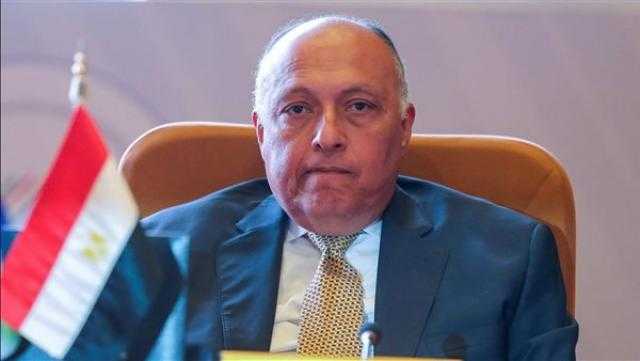 سامح شكري عن أزمة أوكرانيا: نسعى دائما لتحقيق السلم والأمن في كل أرجاء العالم