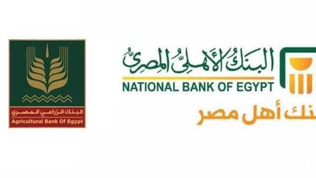 بفائدة 5%.. تفاصيل قروض تربية المواشي من بنكي الزراعي والأهلي