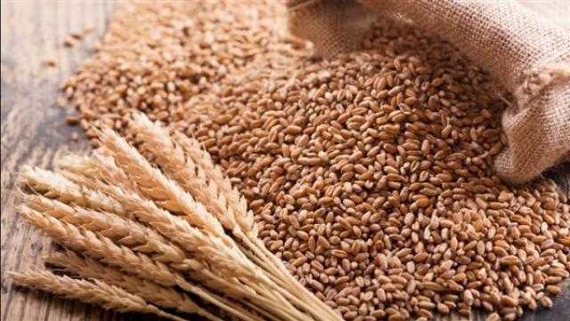 التموين : مصر آمنة حتى نهاية العام دون استيراد أردب قمح