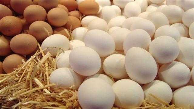 الزراعة: كرتونة البيض بـ52 جنيها بدلا من 57 في منافذنا