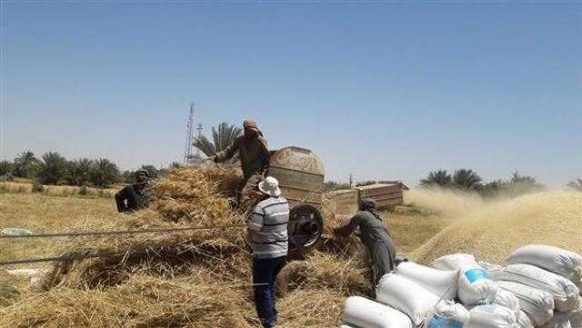 التموين: ماحدش هيقدر يتاجر في جرام قمح.. ونقله بتصريح