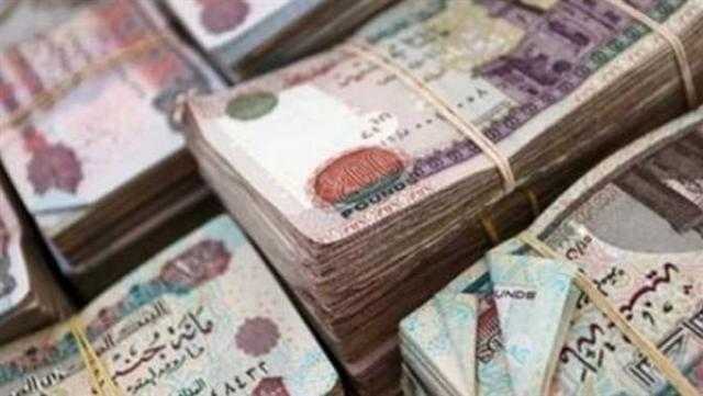 باحثة اقتصادية: حزمة إجراءات أمس تستهدف مساعدة المواطن