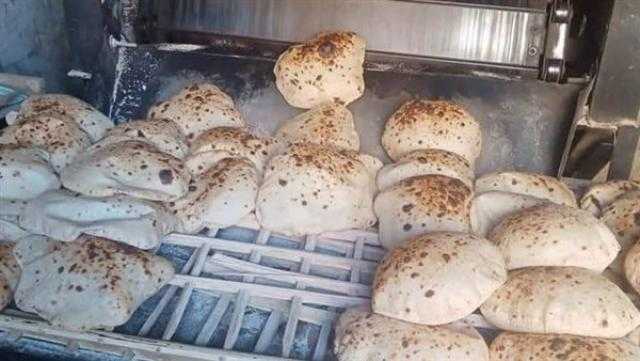 تحرير 109 مخالفات خلال حملات تموينية في المنيا