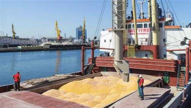 أوكرانيا تلغي شروط تصدير الذرة وزيت عباد الشمس
