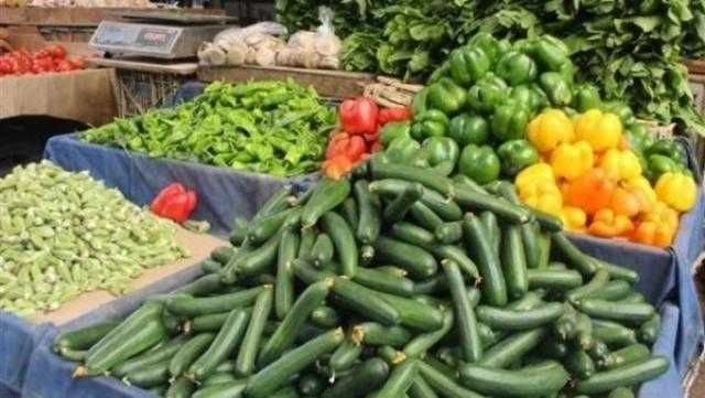 «شعبة الخضروات»: مصر أكبر مصدر للمنتجات الزراعية في الشرق الأوسط