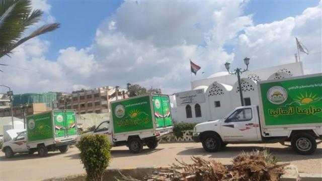 الزراعة تكشف تفاصيل افتتاح منافذ «خير مزارعنا لأهالينا» لمحاربة الغلاء