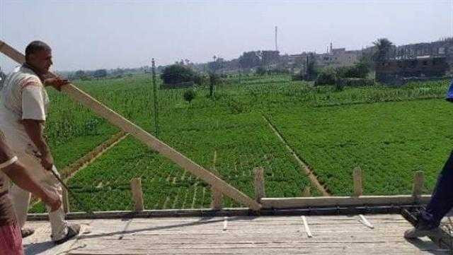 وقف 5 حالات تعدي على الأراضي الزراعية في طنطا خلال 24 ساعة