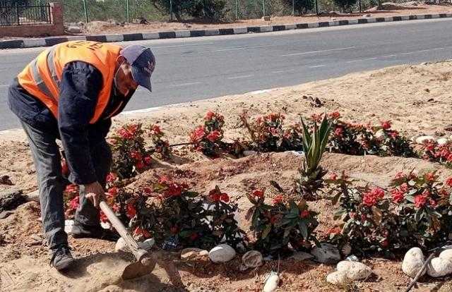 تجميل وإضاءة منتزه أمام مجلس مدينة الحامول احتفالا بشهر رمضان المبارك