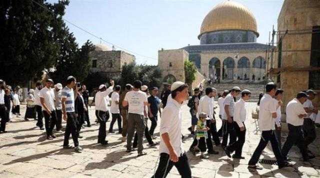 166 مستوطنا يقتحمون باحات الأقصى بحماية شرطة الاحتلال الإسرائيلي