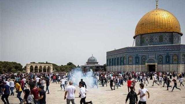 الاتحاد الأوروبي يعرب عن قلقه البالغ إزاء تصاعد أعمال العنف في الأراضي الفلسطينية