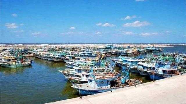 فتح ميناء الصيد البحري ببرج البرلس بكامل طاقته لليوم الثاني