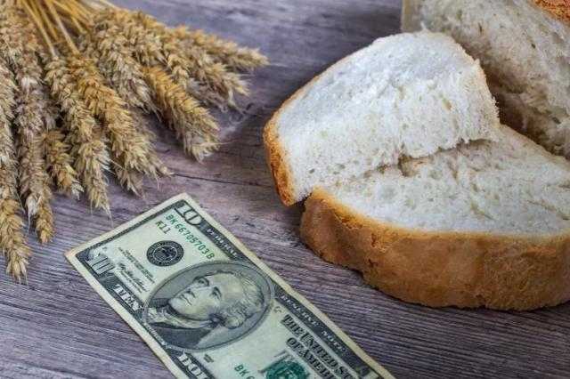 الفاو: 115 مليون دولار تحتاجها أوكرانيا لضمان الأمن الغذائي