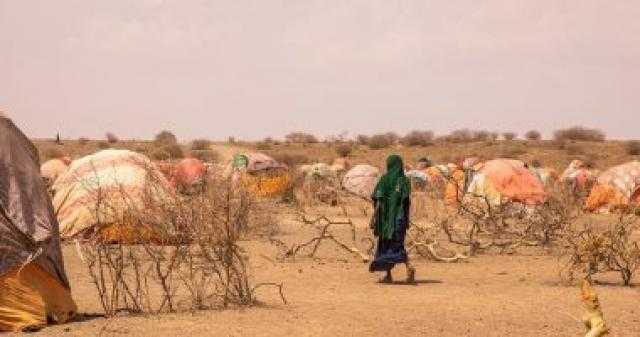 الأغذية العالمى يحذر من ارتفاع عدد الجياع لـ20 مليونا بسبب الجفاف بالقرن الأفريقى