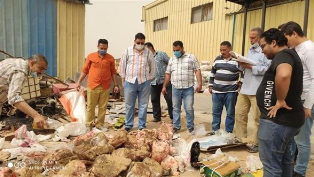 تزامناً مع أعياد الربيع.. صحة الشرقية تعدم أكثر من طن لحوم وأسماك غير صالحة