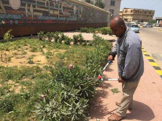 جولات ميدانية مكبرة لرؤساء الأحياء بالإسكندرية استعدادا لعيد الفطر