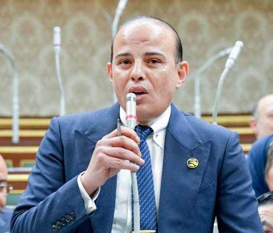 عمرو القطامي: مصر استطاعت النجاة من السقوط والتجهيز للمستقبل بقوة تحت حكم السيسي