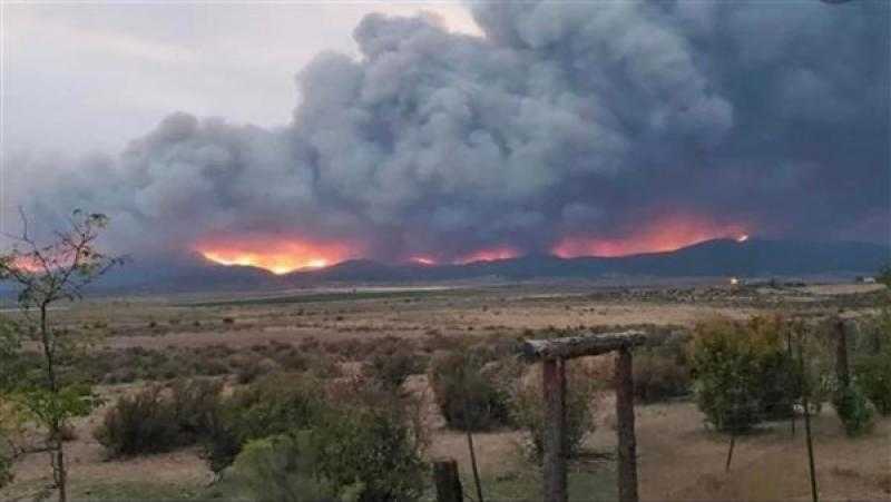 السلطات الجزائرية تضبط 3 أشخاص أضرموا النيران في محاصيل زراعية