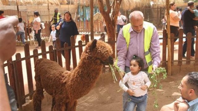 رئيس حدائق الحيوان: نتبادل الحيوانات مع حدائق عالمية لخفض الأعباء المالية
