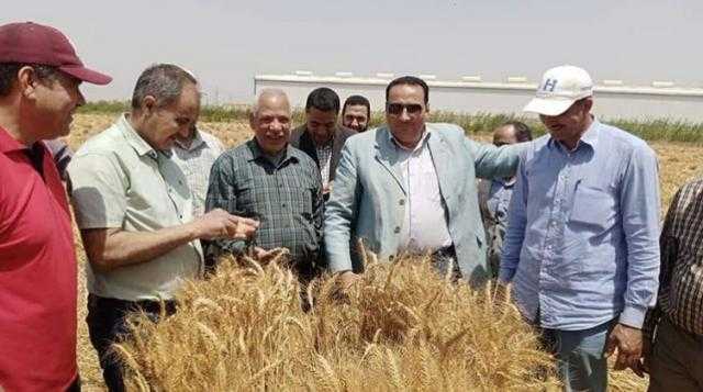 وكيل وزارة زراعة دمياط يتابع زراعات القطن في العيد