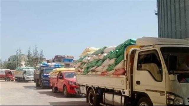 تموين الإسكندرية: تخزين 323 ألفًا و760 طن قمح منذ بداية التوريد