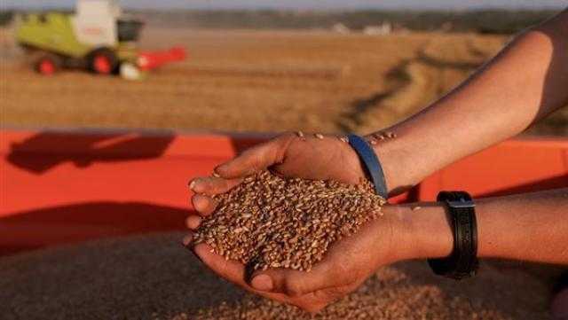 حصاد وزارة الزراعة.. متابعة موسم حصاد القمح والتصدي للتعديات على الأراضي| إنفوجراف