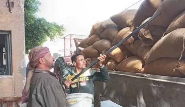 محافظ أسيوط: توريد 18ألف طن قمح لـ30 شونة وصومعة منذ بدء الموسم