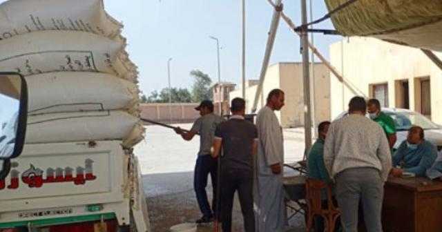 توريد 98305 أطنان قمح لصوامع وشون كفر الشيخ