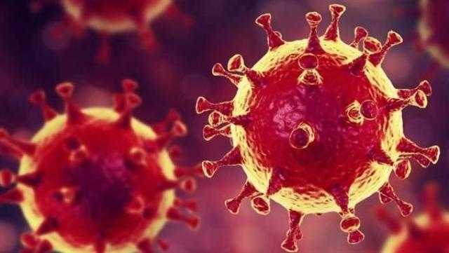 كوريا الشمالية تسجل أكثر من 96 ألف حالة اشتباه بكورونا