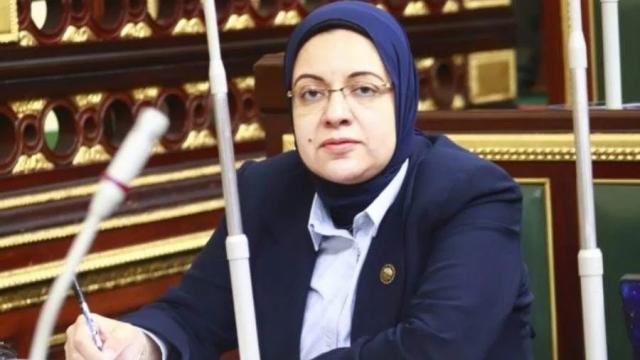 برلمانية: 38 مستريح في أسوان تم القبض على أكبرهم وجاري حصر الضحايا لتعويضهم