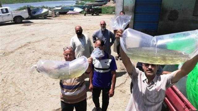 ضبط 100 ألف وحدة زريعة أسماك مهربة في سيارات بكفر الشيخ
