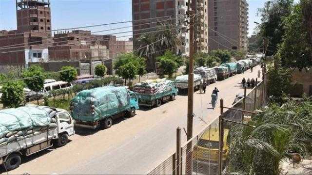 توريد 261 ألف طن قمح لشون وصوامع المنيا