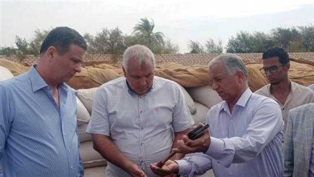 توريد 269 ألفًا و147 طنًا من محصول القمح في الوادي الجديد