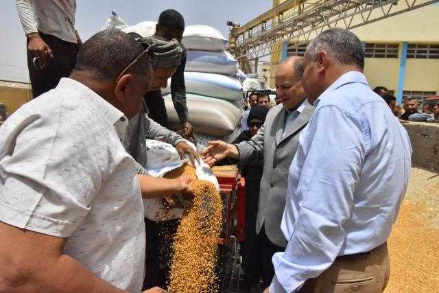 محافظ أسيوط: انتظام توريد الأقماح واستقبال 102 ألف طن بالشون والصوامع حتى اليوم