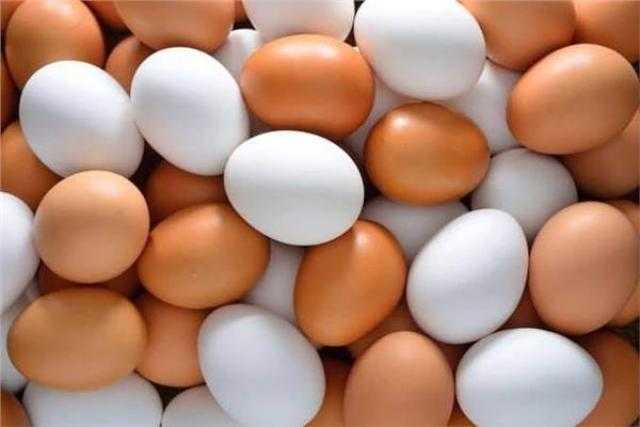 تعرف على سعر كرتونة البيض اليوم الخميس
