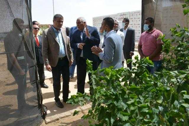 البنك الزراعي المصري يمول مشروعات رواد الأعمال بالوادي الجديد