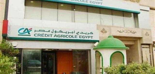 لأصحاب المهن الحرة .. كيف تحصل على قرض المليون جنيه من بنك كريدي أجريكول؟