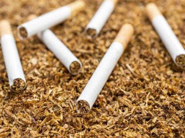 الجامعة العربية: التبغ يتسبب في وفاة حوالي أكثر من 8 ملايين شخص كل عام