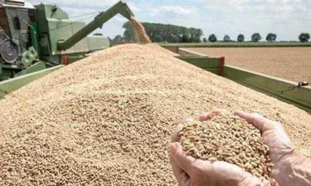 مباحثات بين الأمم المتحدة وروسيا بشأن صادرات الحبوب والأسمدة