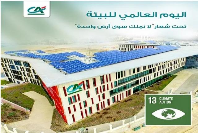 بنك كريدي أجريكول مصر يحتفل باليوم العالمي للبيئة