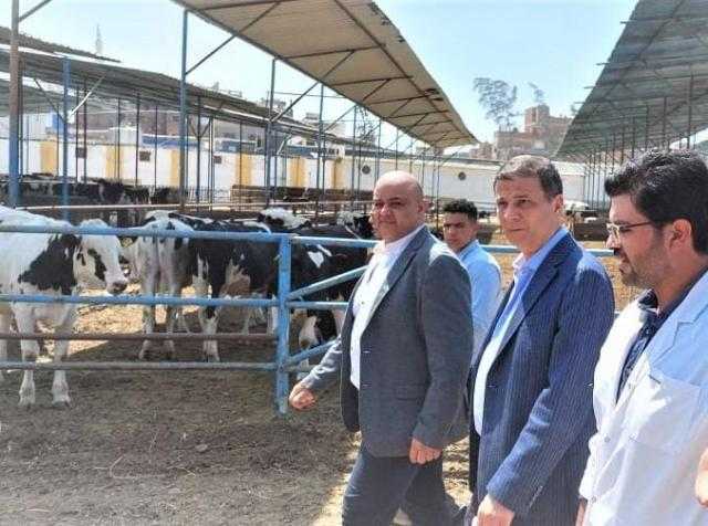 علاء فاروق: توريد 732.5 ألف طن قمح لشون البنك الزراعي بكافة المحافظات منذ منتصف أبريل