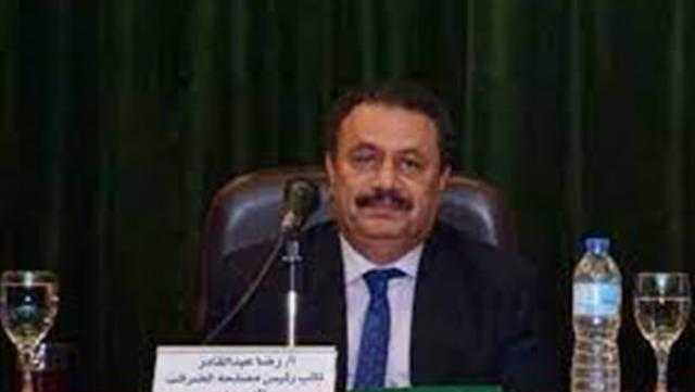 «الضرائب»: مشروعات التطوير تتضمن الفاتورة الإلكترونية والإيصال الإلكتروني
