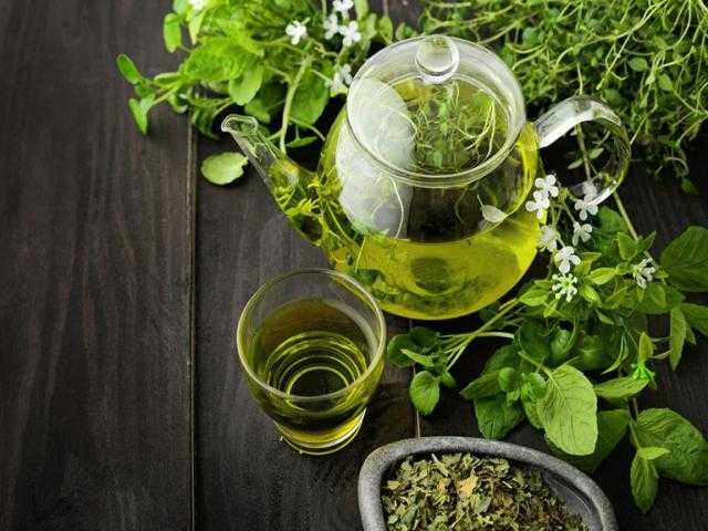 كل ما تريد معرفته عن الشاى الأخضر ودوره الفعال في خفض الوزن وحرق الدهون