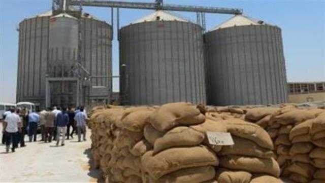 توريد 229 ألفا و553 طنا من الأقماح للشون والصوامع في كفر الشيخ