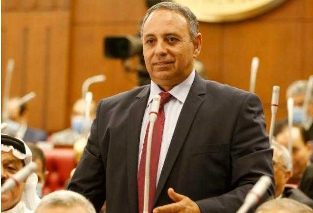 رئيس حزب إرادة جيل: الاقتصاد أهم محاورنا في الحوار الوطني