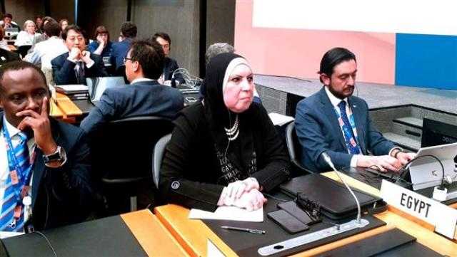 «نيفين جامع» تؤكد أهمية وضع أطر حاكمة للعلاقة بين التجارة والمناخ