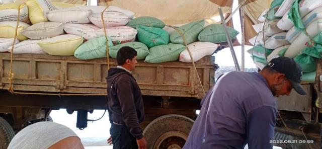 محافظ أسيوط: توريد 165 ألفًا و826 طن قمح إلى الشون والصوامع