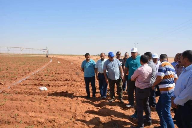 التوسع في مشروعات الاستثمار الزراعي على طريق «موط - العوينات» | صور