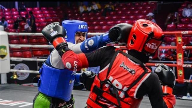 مصر تفوز بتنظيم البطولة الإفريقية للفنون القتالية المختلطة «MMA»