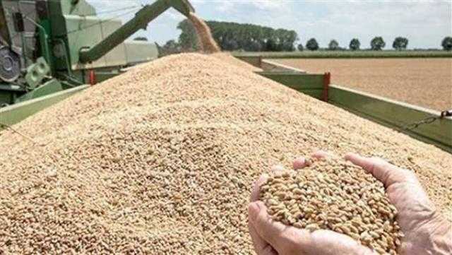 توجيهات بانتظام صرف مستحقات المزارعين والموردين للقمح في كفر الشيخ