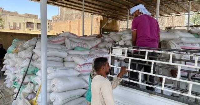 توريد 235 ألفاً و129 طن قمح لصوامع وشون كفر الشيخ
